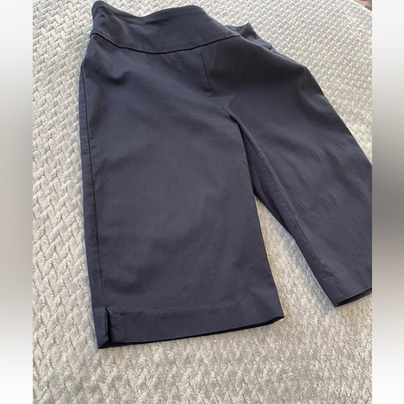 attyre new york pull on bermuda shorts Size 2 - Picture 5 of 10